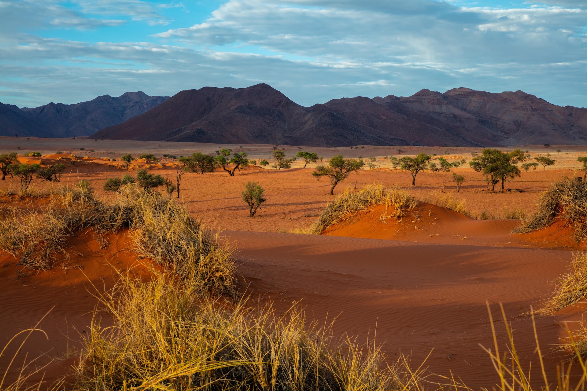 6 National Parks of Namibia - Beloc